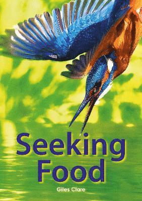 Seeking Food (Set 05) 1