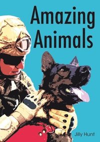 bokomslag Amazing Animals (Set 11)