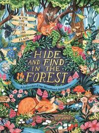 bokomslag Hide and Find in the Forest: A Lift-the-Flap Woodland Adventure