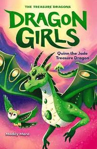 bokomslag Quinn the Jade Treasure Dragon