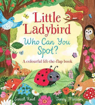 Little Ladybird, Who Can You Spot? (HB)
