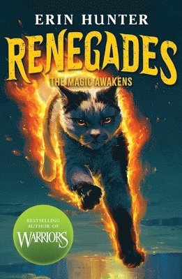 Renegades: The Magic Awakens