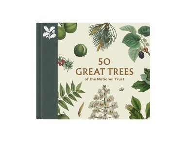 bokomslag 50 Great Trees of the National Trust