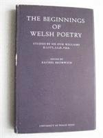 bokomslag Beginnings Of Welsh Poetry