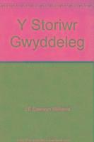 bokomslag Y Storiwr Gwyddeleg