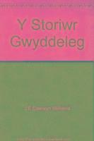 Y Storiwr Gwyddeleg 1