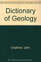 bokomslag Dictionary Of Geology