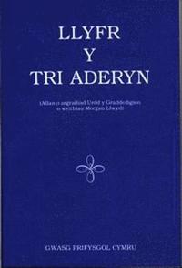 bokomslag Llyfr y Tri Aderyn