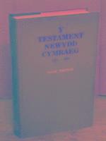 bokomslag Y Testament Newydd Cymraeg, 1551-1620