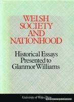 bokomslag Welsh Society and Nationhood