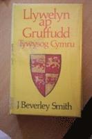 bokomslag Llywelyn ap Gruffydd