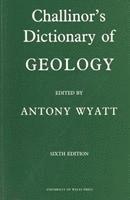 bokomslag DICTIONARY OF GEOLOGY P B