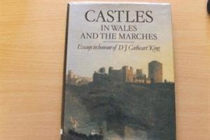 bokomslag Castles in Wales and the Marches