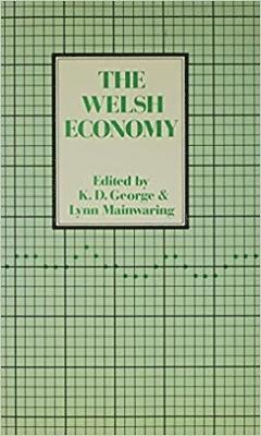 bokomslag The Welsh Economy