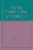 Jean Genet - Cyfres Dramau'r Byd - Morynion, Y, Häftad