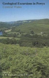 bokomslag Geological Excursions in Powys