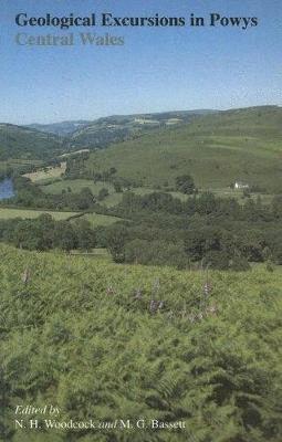 bokomslag Geological Excursions in Powys