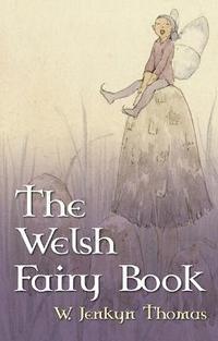 bokomslag The Welsh Fairy Book