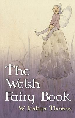 bokomslag The Welsh Fairy Book