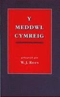 bokomslag Y Meddwl Cymreig