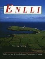 R. Gerallt Jones, Christopher J. Arnold - Enlli, Häftad