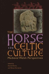 bokomslag The Horse in Celtic Culture