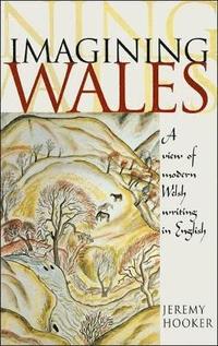 bokomslag Imagining Wales