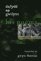 bokomslag Dafydd ap Gwilym