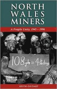 bokomslag North Wales Miners