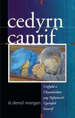 bokomslag Cedyrn Canrif