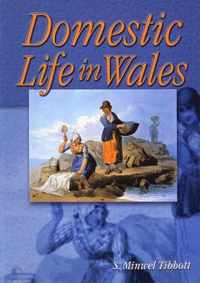 S. Minwel Tibbott - Domestic Life in Wales, Häftad