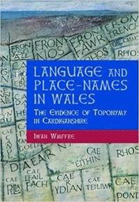 bokomslag Language and Place-names in Wales