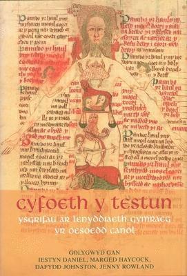 bokomslag Cyfoeth y Testun