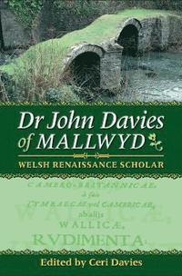 bokomslag Dr John Davies of Mallwyd