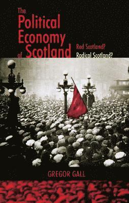 bokomslag The Political Economy of Scotland