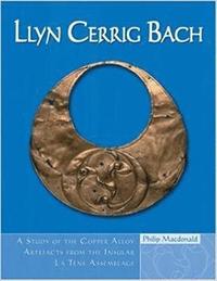bokomslag Llyn Cerrig Bach