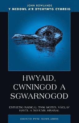 bokomslag Hwyaid, Cwningod a Sgwarnogod