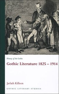 bokomslag History of the Gothic: Gothic Literature 1825-1914