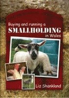 bokomslag The Practical Guide to Buying and Running a Smallholding in Wales