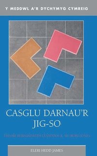 bokomslag Casglu Darnau'r Jig-so