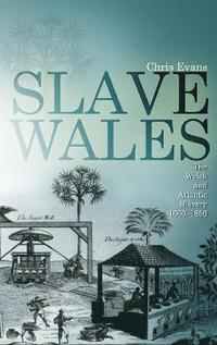 bokomslag Slave Wales