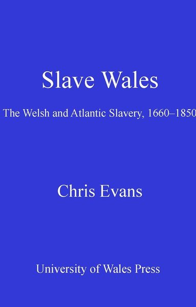 bokomslag Slave Wales