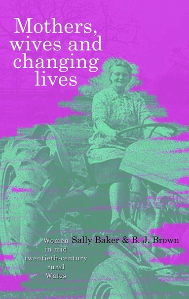 Brian J. Brown, Sally Baker - Mothers, Wives and Changing Lives, Häftad