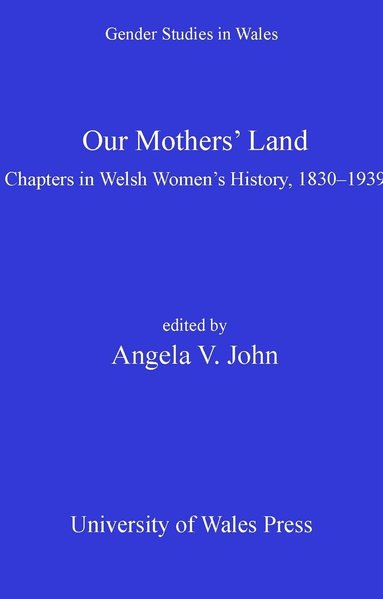 Angela  V John, Angela  V John - Our Mothers' Land, Häftad