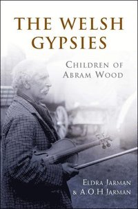 bokomslag The Welsh Gypsies
