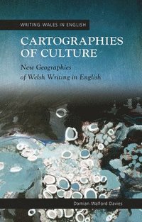 bokomslag Cartographies of Culture