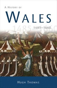 bokomslag A History of Wales 1485-1660