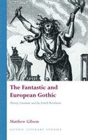 bokomslag The Fantastic and European Gothic