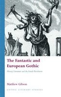 bokomslag Fantastic and European Gothic