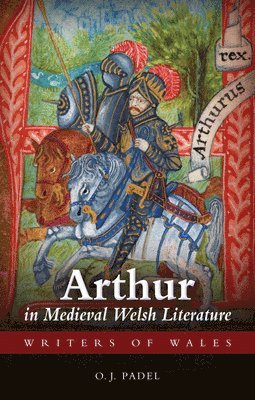 bokomslag Arthur in Medieval Welsh Literature